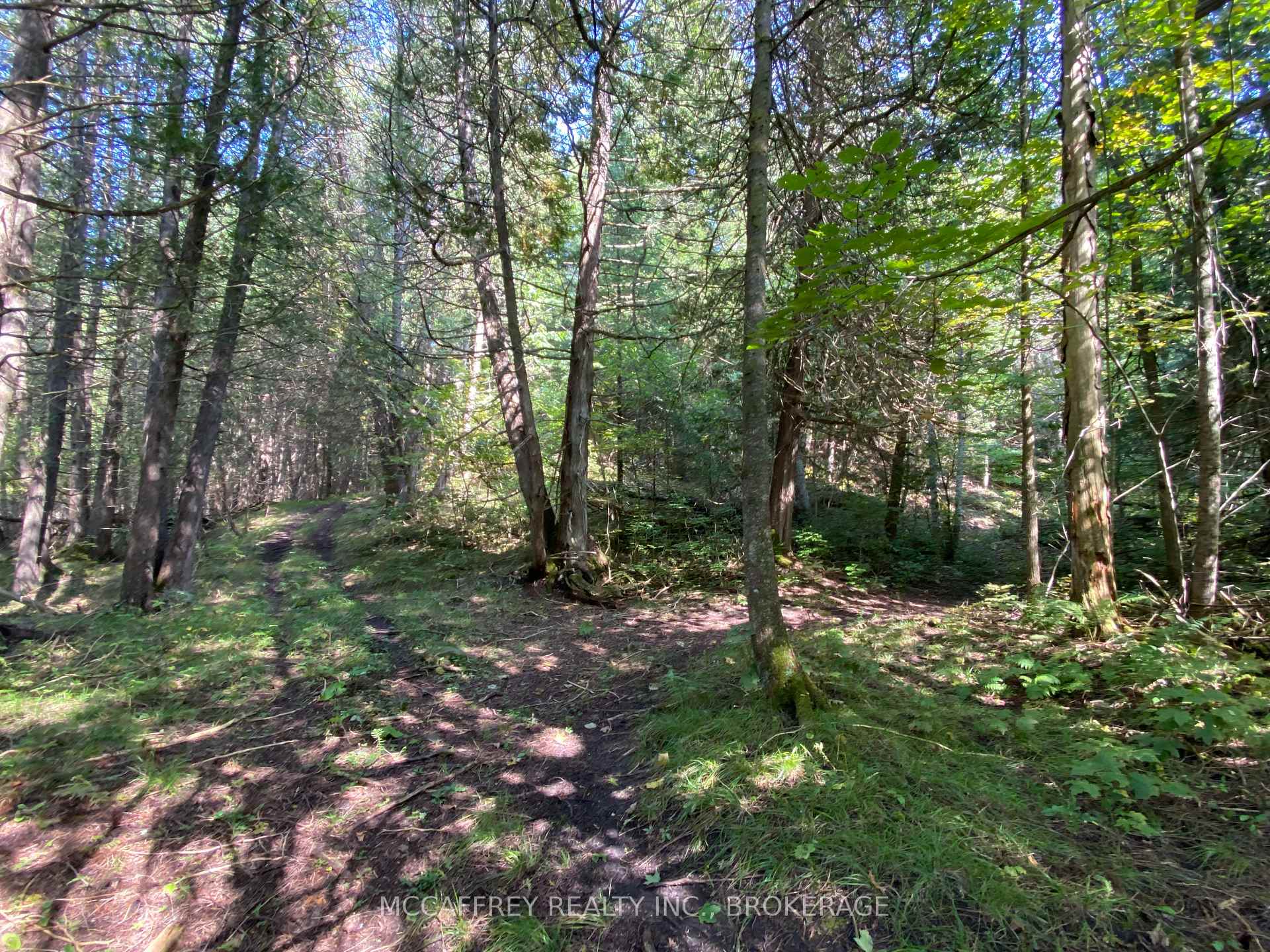 Photo 3 of 3499 Deloro Road, Madoc — HOMEH