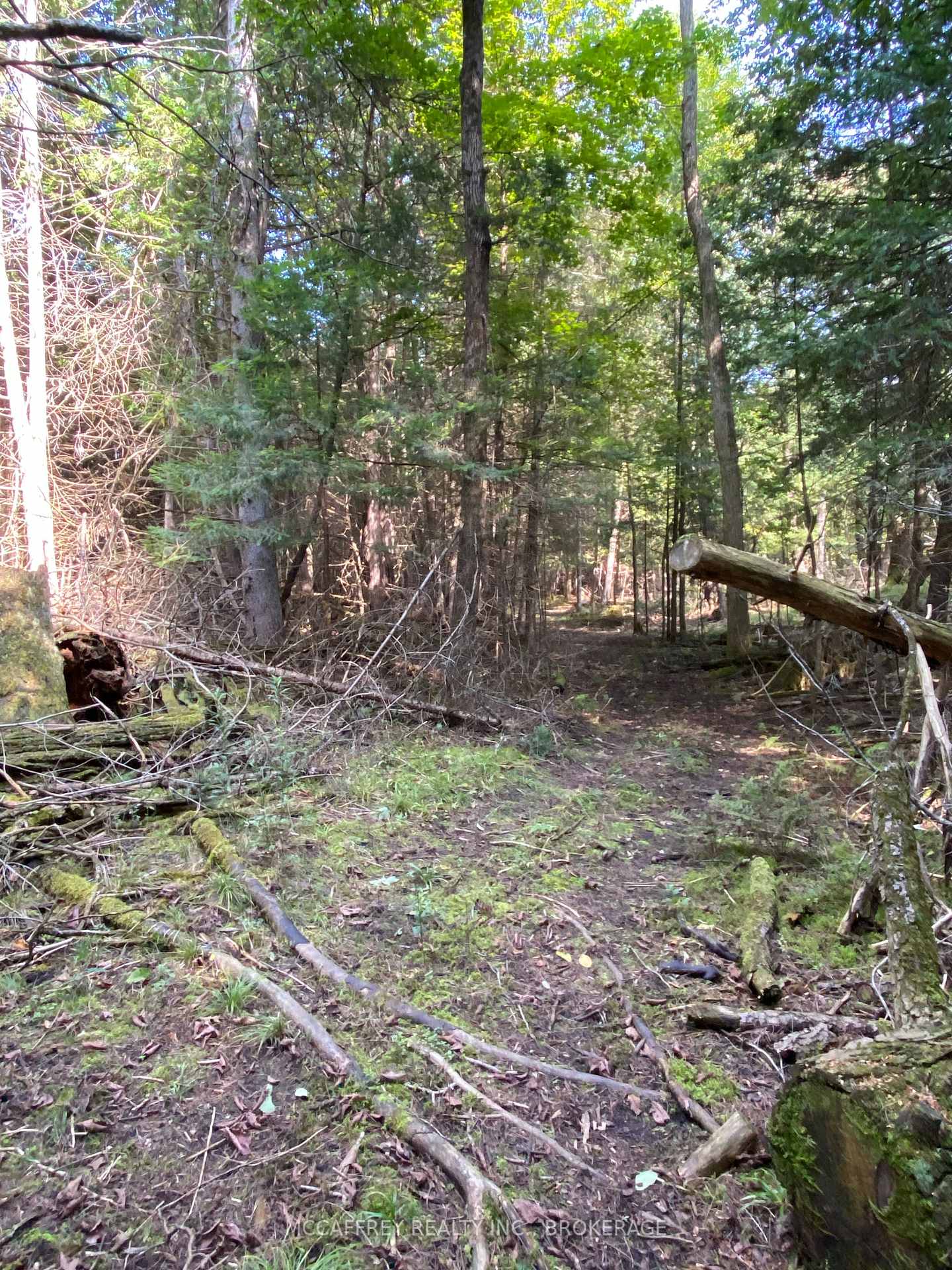 Photo 5 of 3499 Deloro Road, Madoc — HOMEH