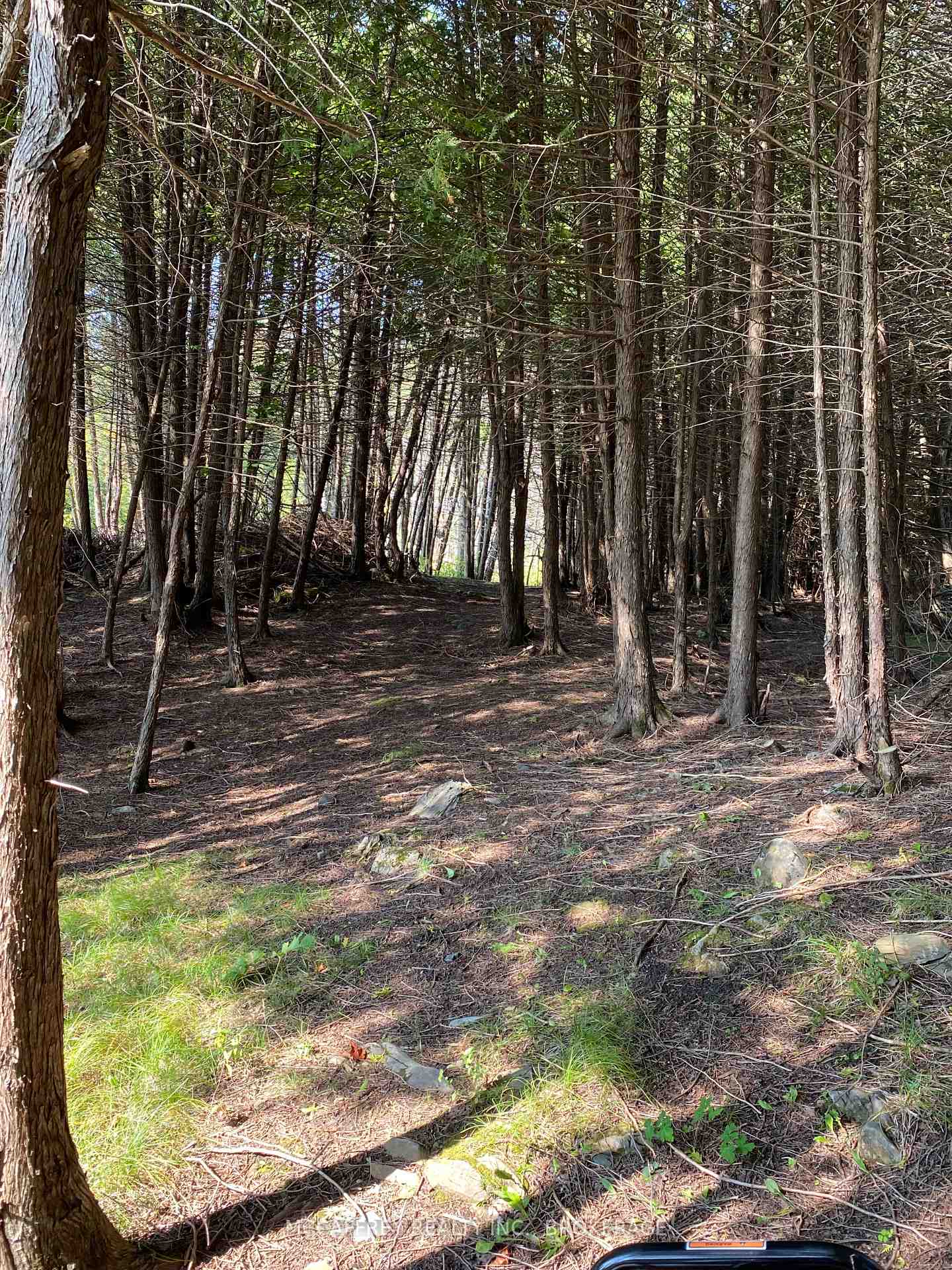 Photo 6 of 3499 Deloro Road, Madoc — HOMEH
