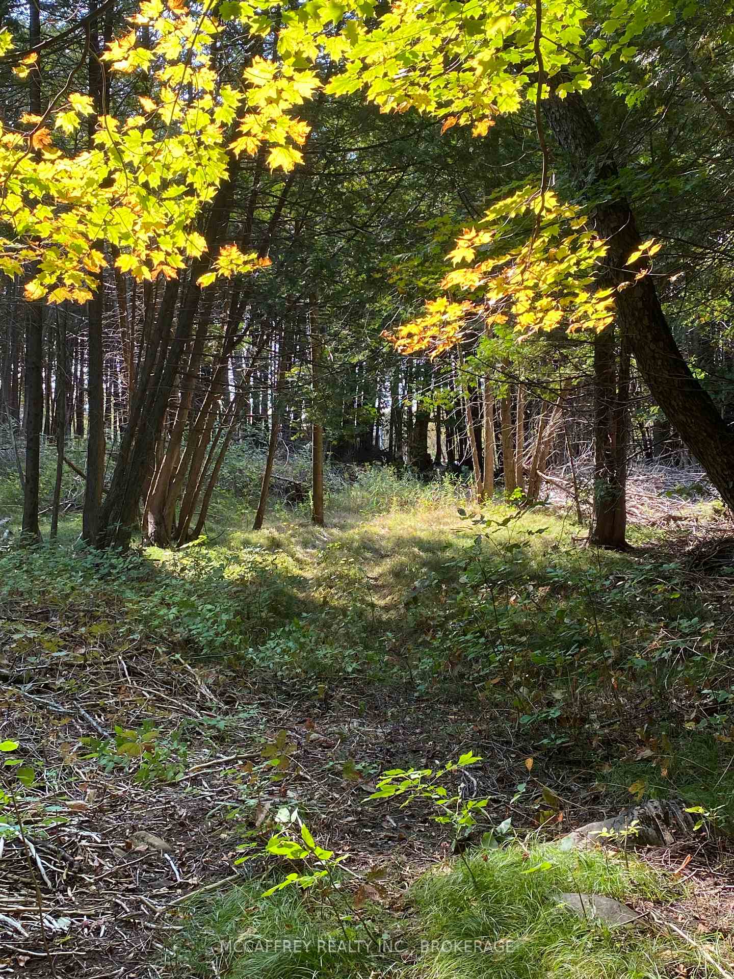 Photo 7 of 3499 Deloro Road, Madoc — HOMEH
