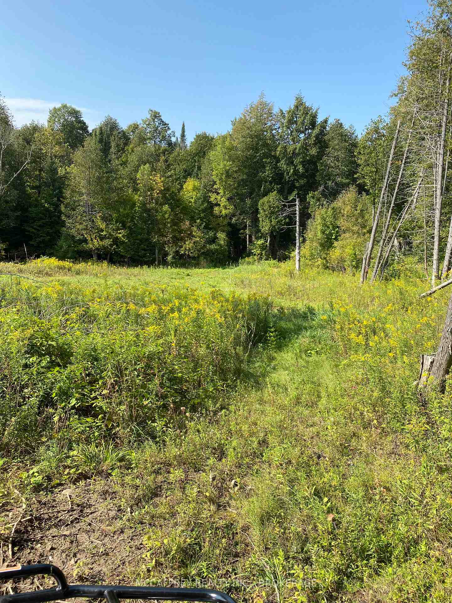 Photo 8 of 3499 Deloro Road, Madoc — HOMEH
