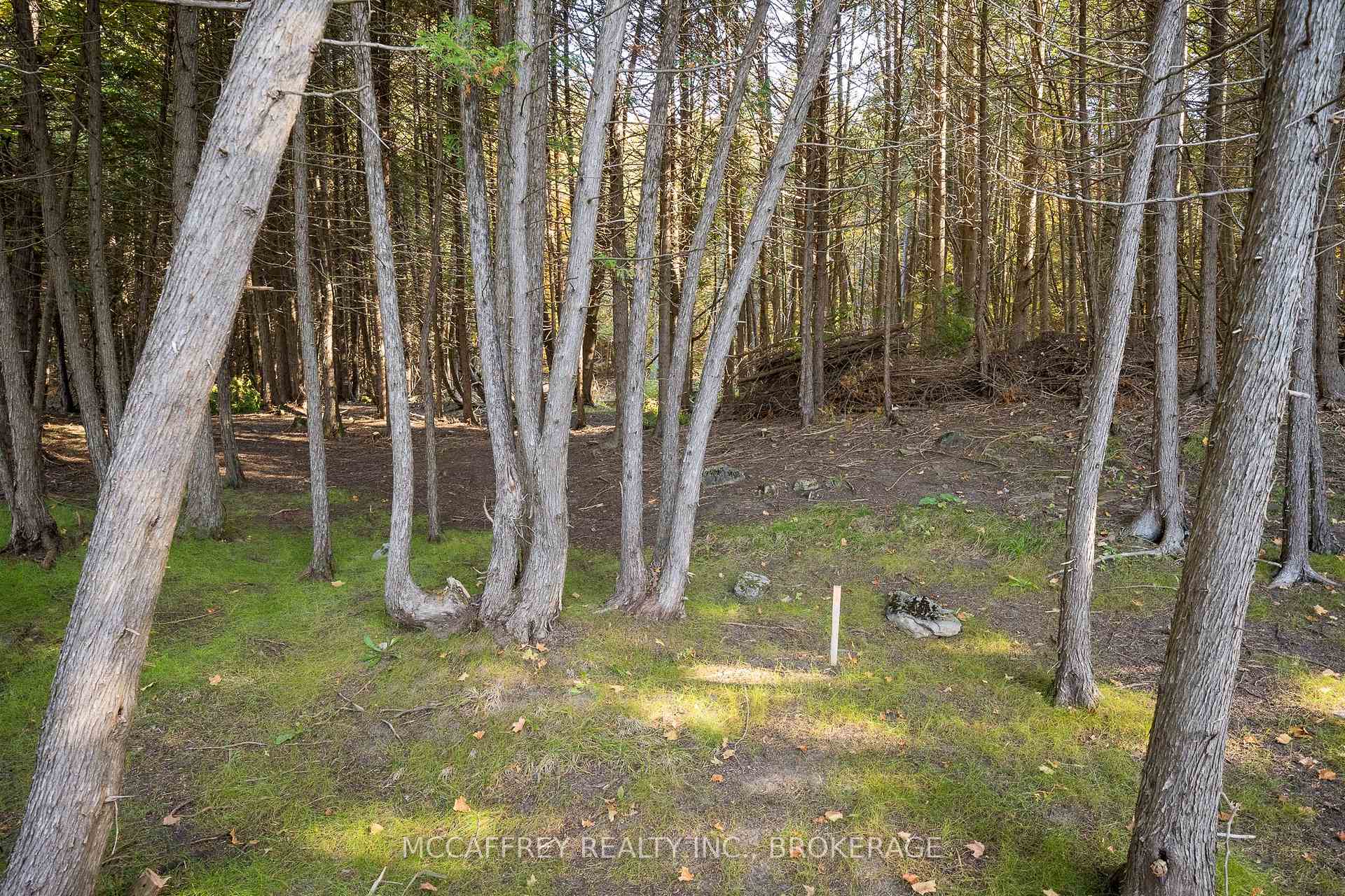 Photo 24 of 3499 Deloro Road, Madoc — HOMEH