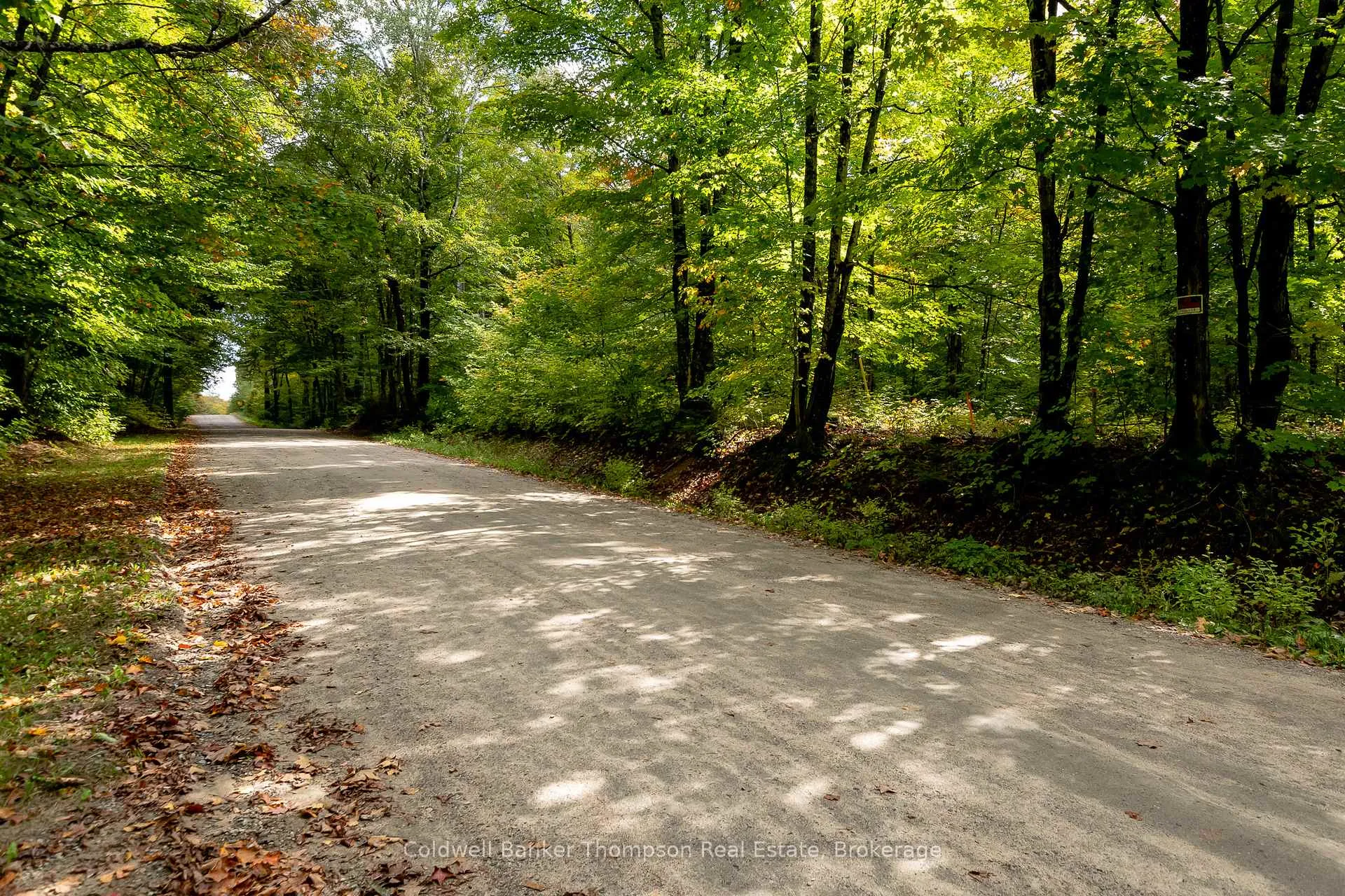 Photo 5 of Skyline Drive, Armour — HOMEH