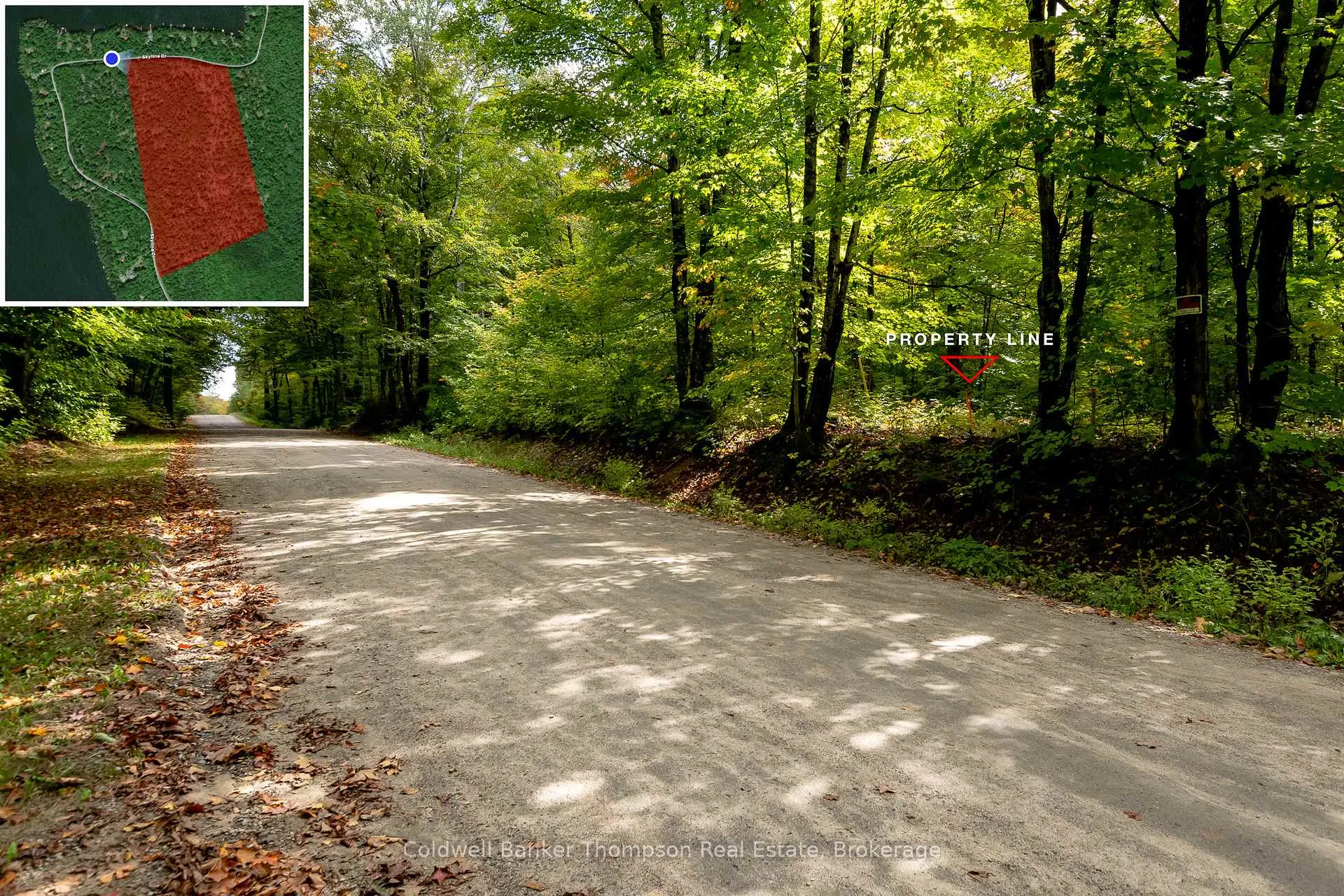 Photo 6 of Skyline Drive, Armour — HOMEH