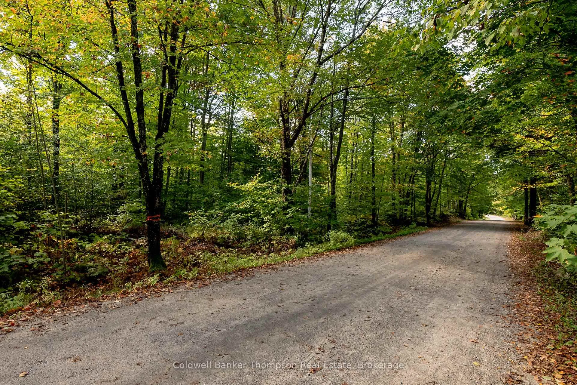Photo 7 of Skyline Drive, Armour — HOMEH