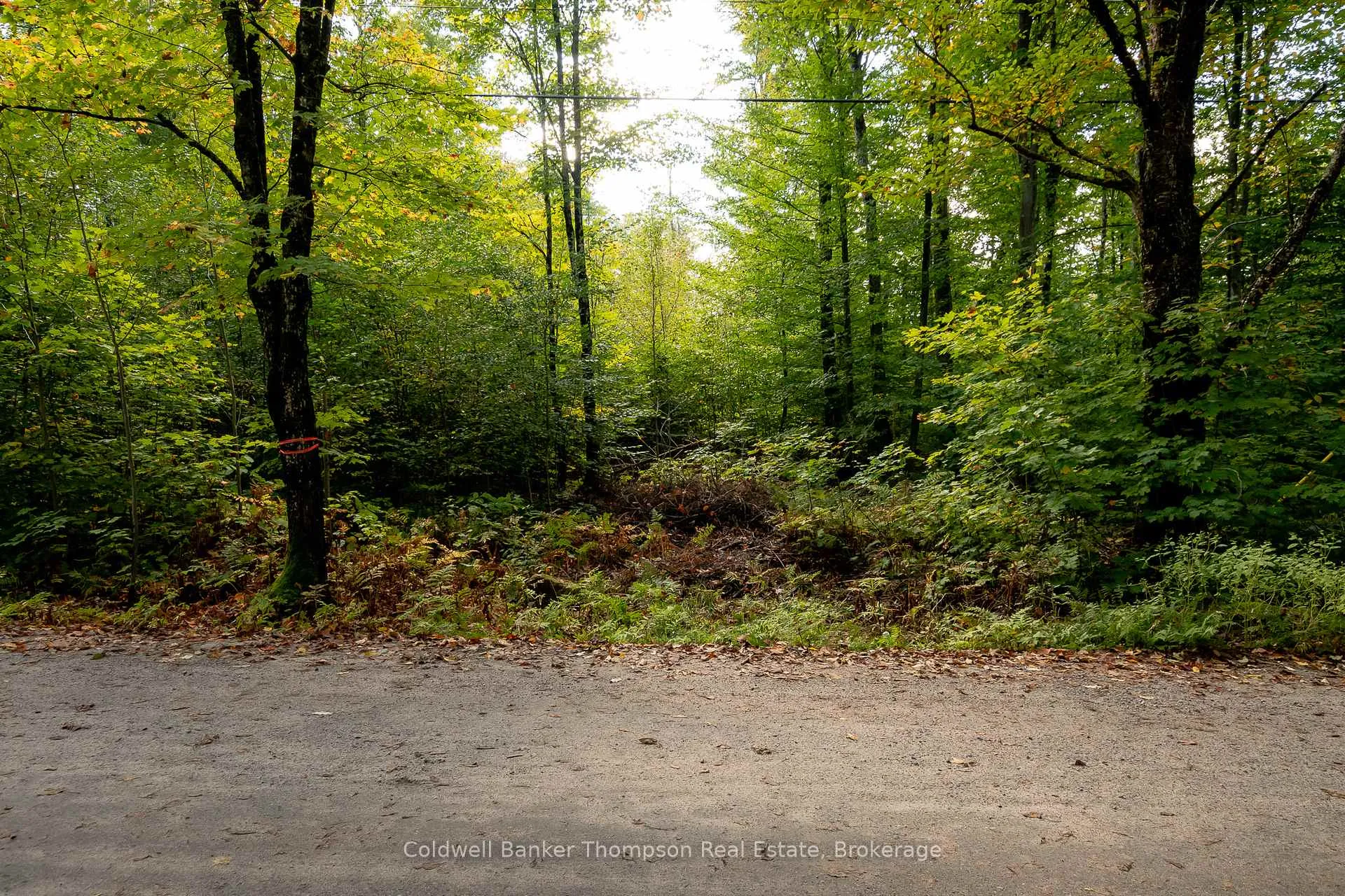 Photo 9 of Skyline Drive, Armour — HOMEH