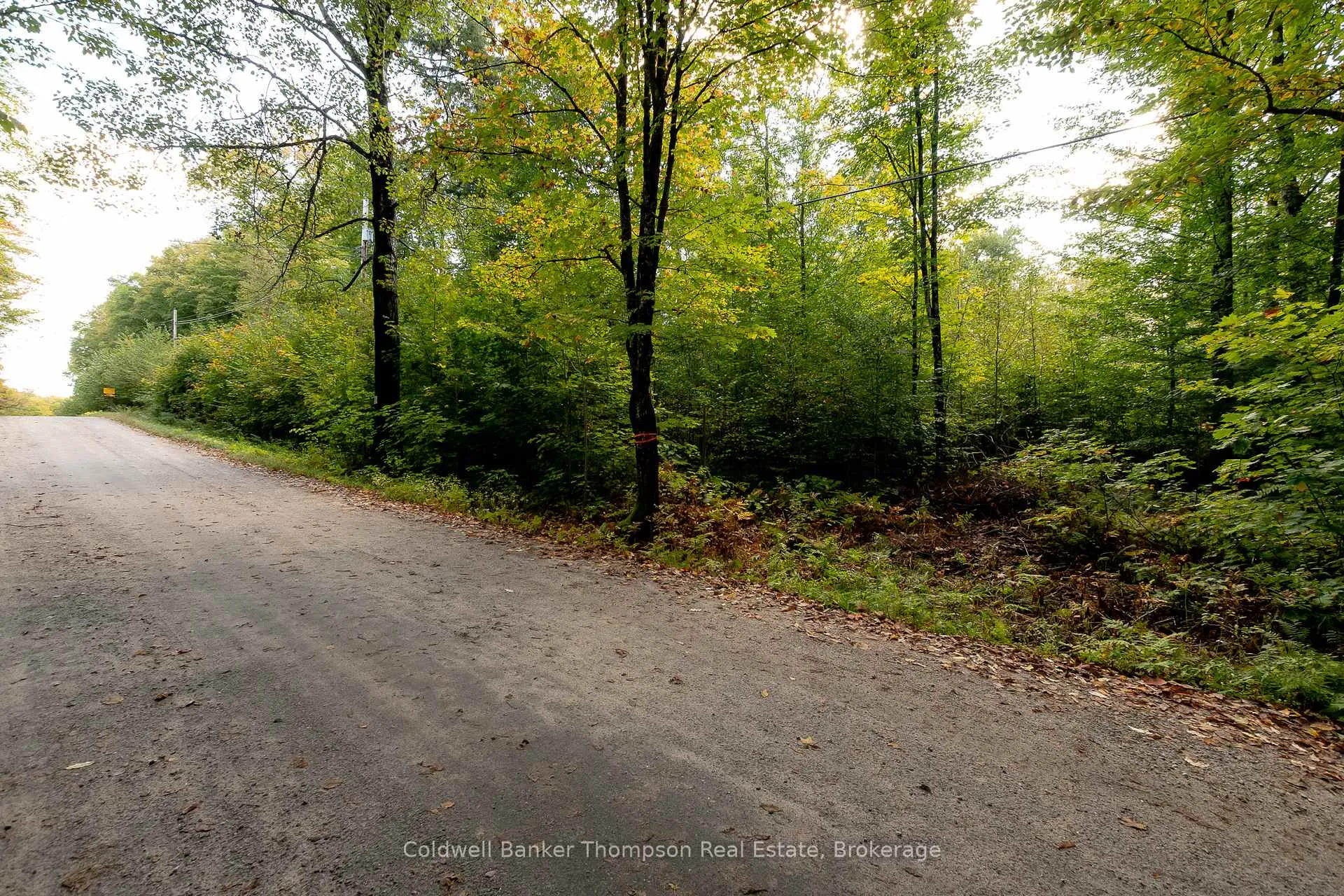 Photo 10 of Skyline Drive, Armour — HOMEH