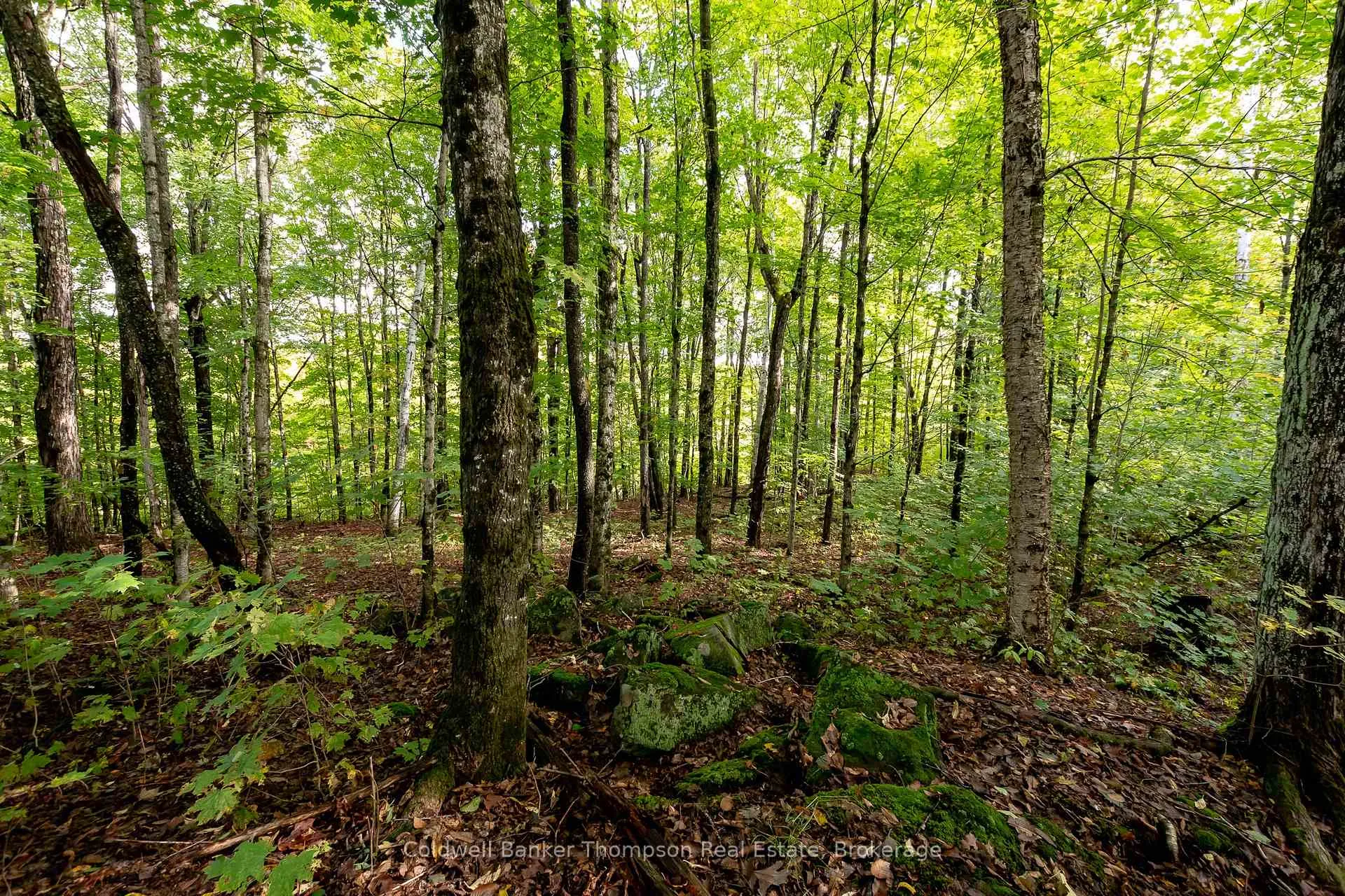 Photo 15 of Skyline Drive, Armour — HOMEH