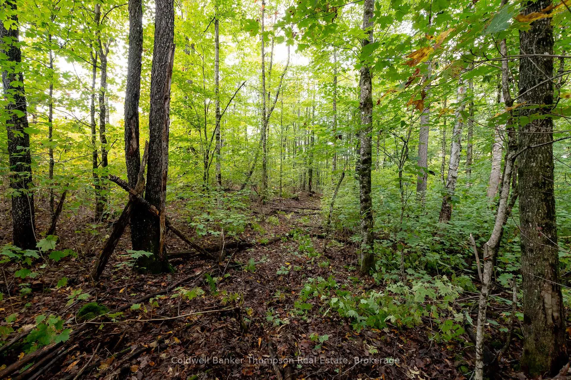 Photo 16 of Skyline Drive, Armour — HOMEH