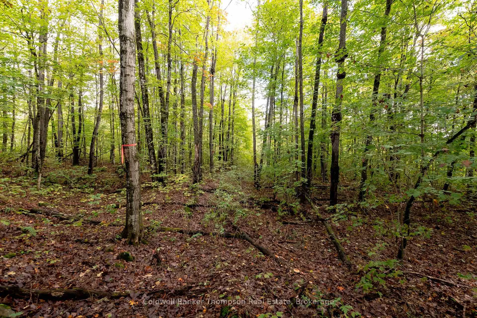 Photo 17 of Skyline Drive, Armour — HOMEH