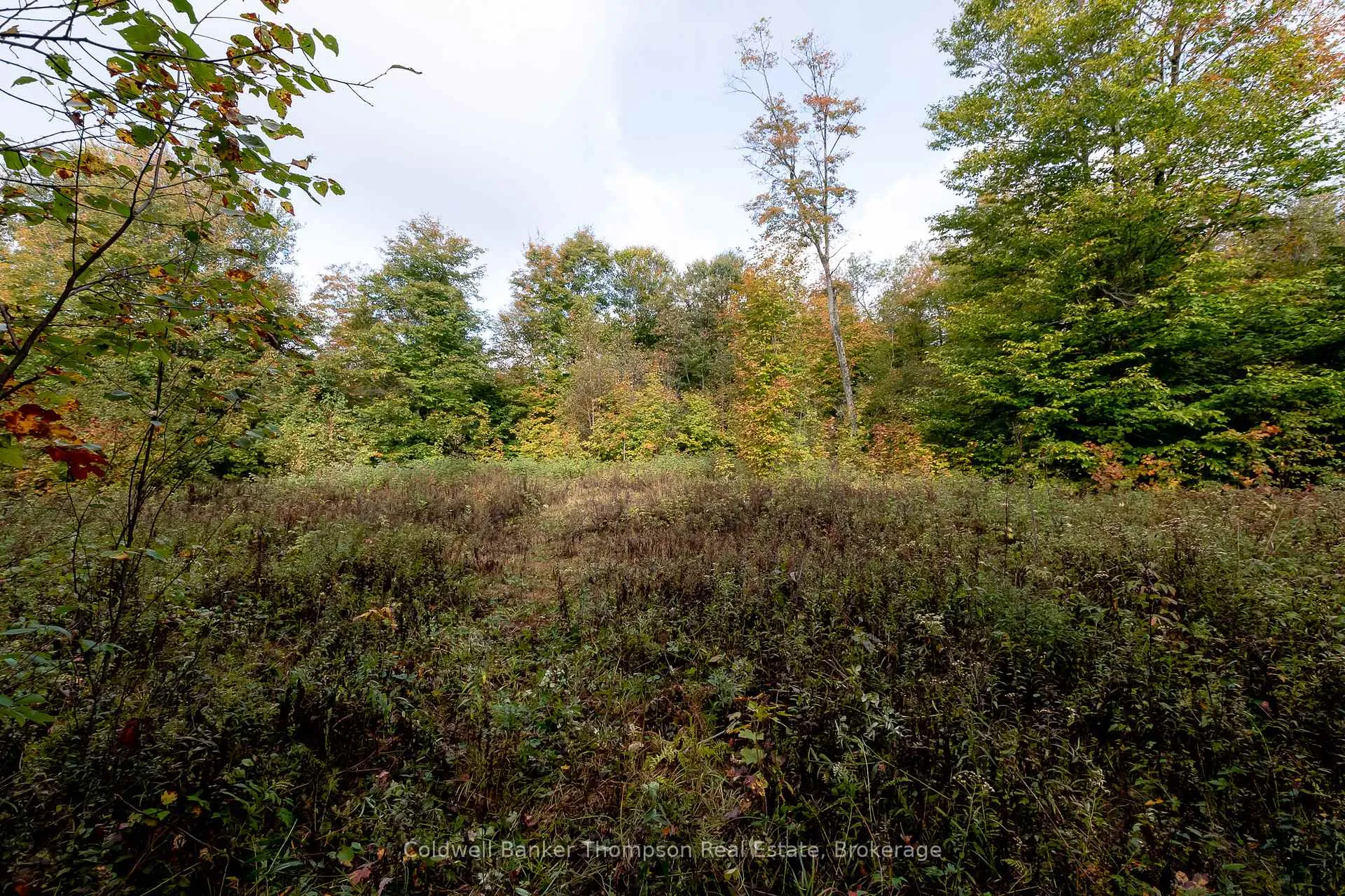 Photo 18 of Skyline Drive, Armour — HOMEH