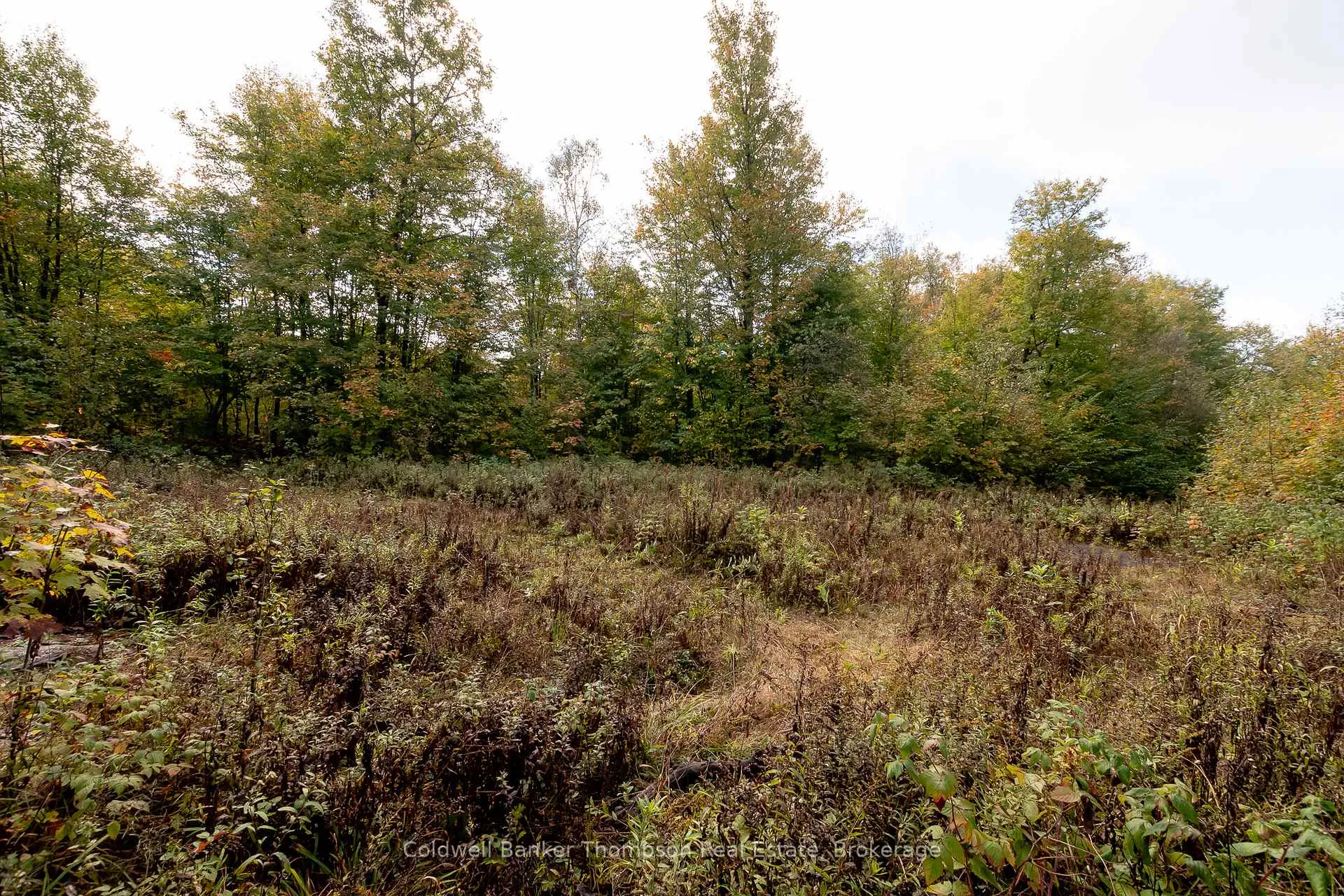Photo 19 of Skyline Drive, Armour — HOMEH