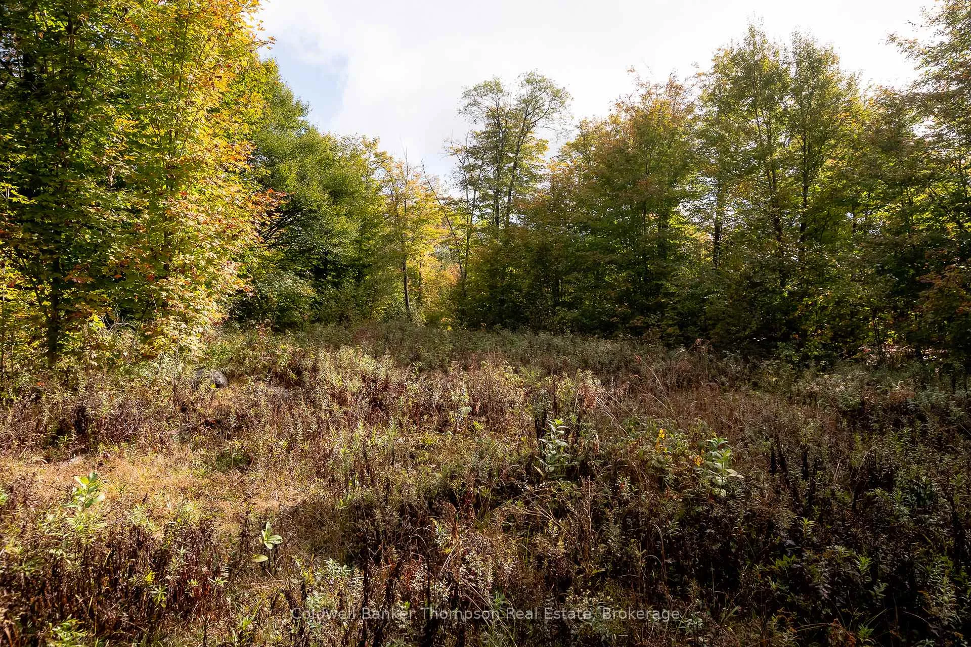 Photo 21 of Skyline Drive, Armour — HOMEH