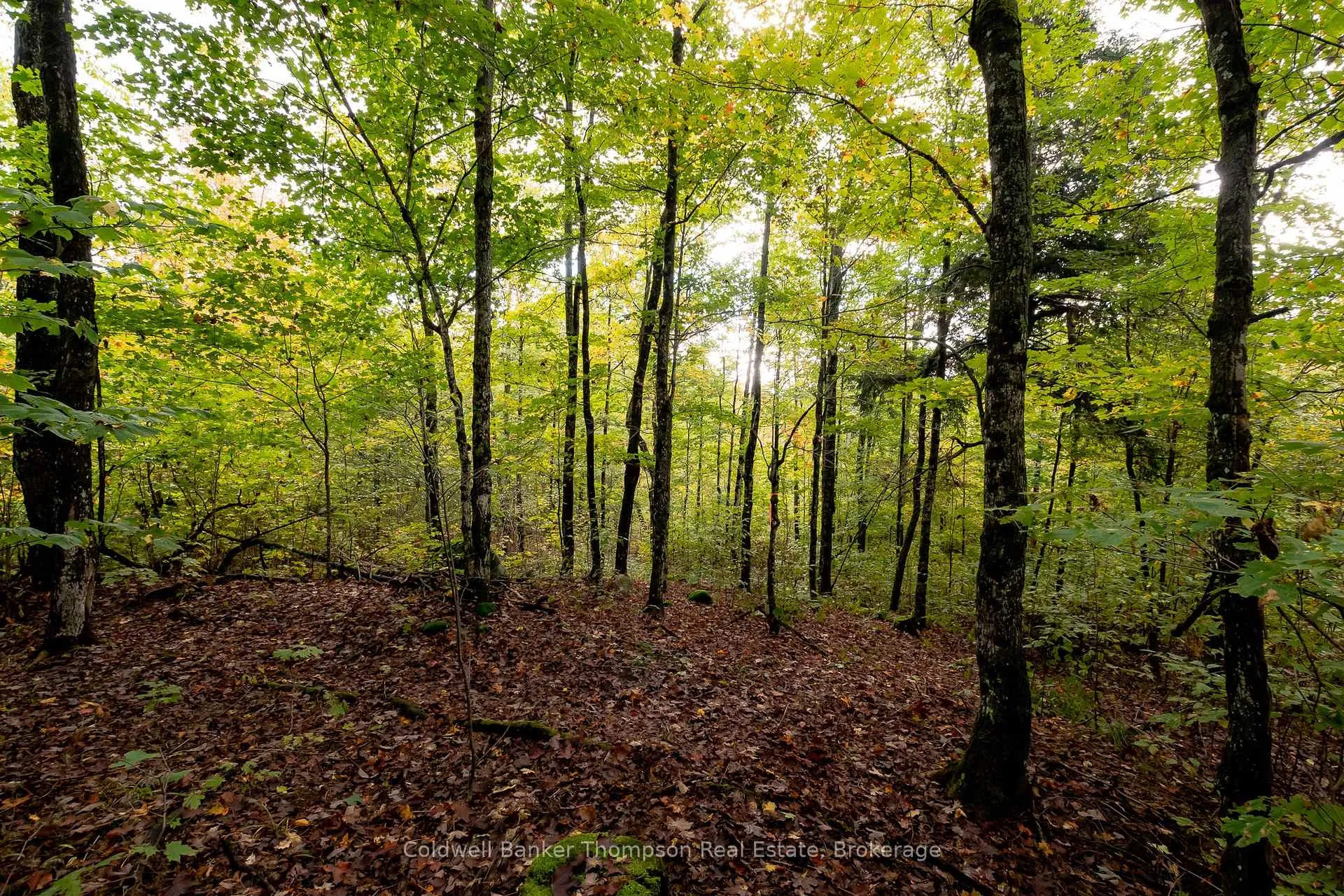Photo 22 of Skyline Drive, Armour — HOMEH