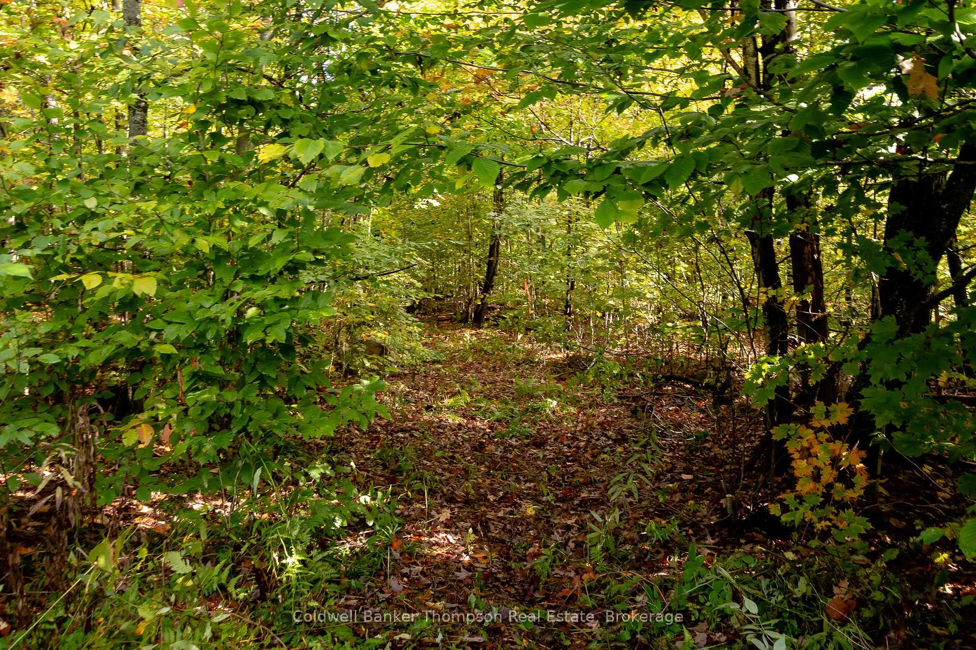 Photo 23 of Skyline Drive, Armour — HOMEH