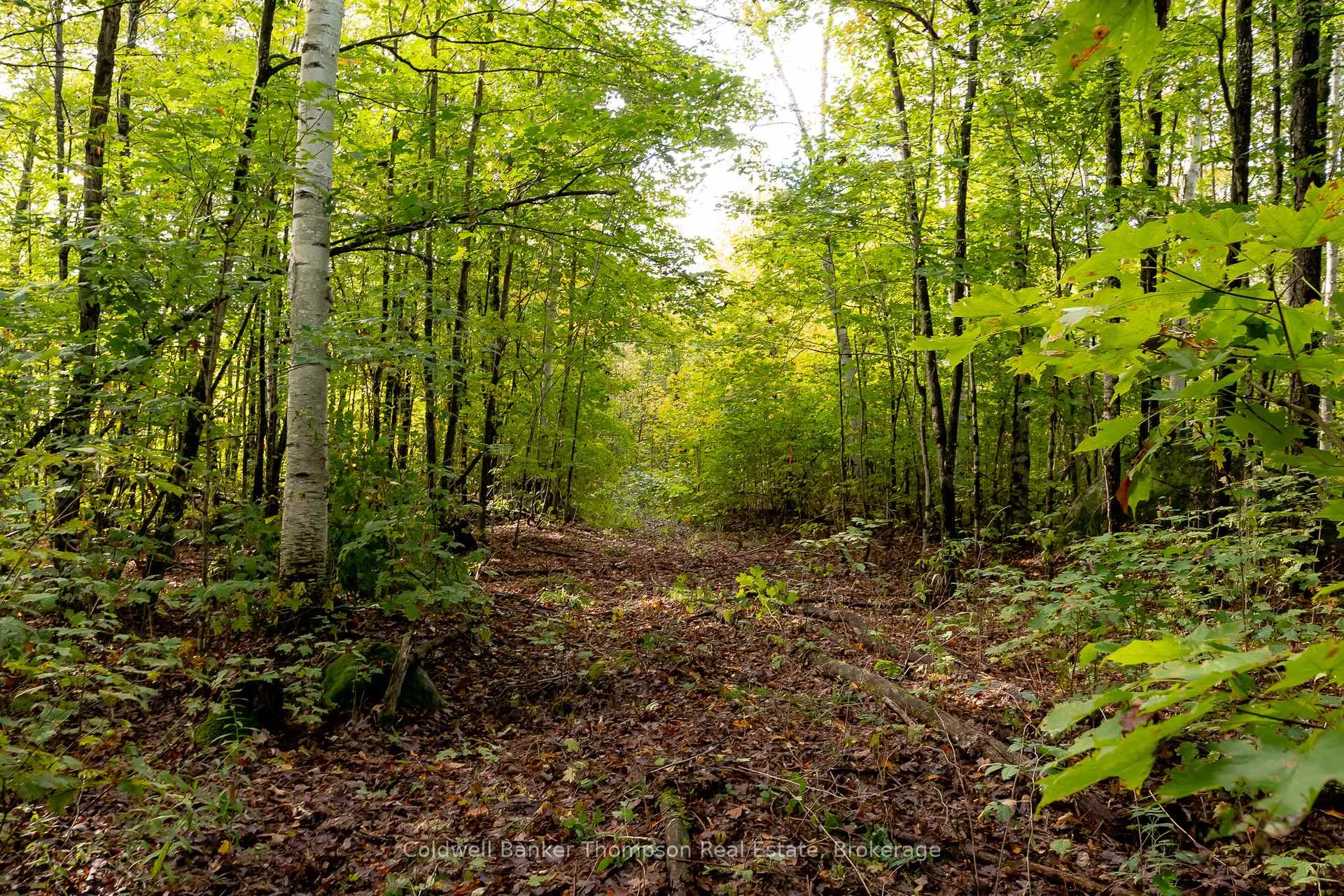 Photo 24 of Skyline Drive, Armour — HOMEH