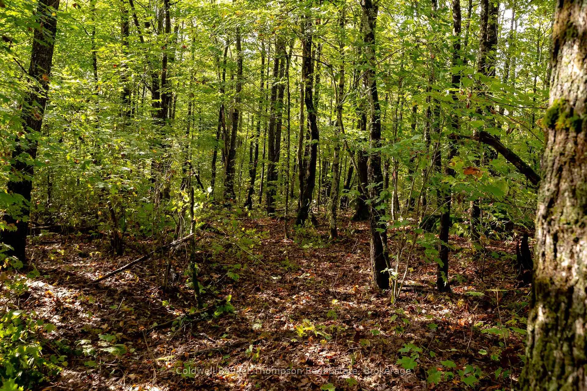 Photo 25 of Skyline Drive, Armour — HOMEH