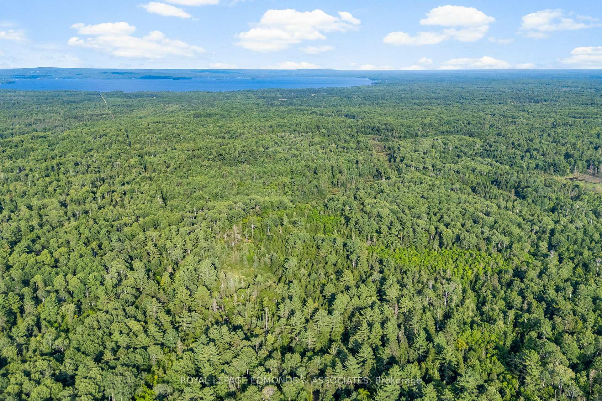 Photo 3 of Deer Trail Road, Madawaska Valley, Madawaska Valley — HOMEH