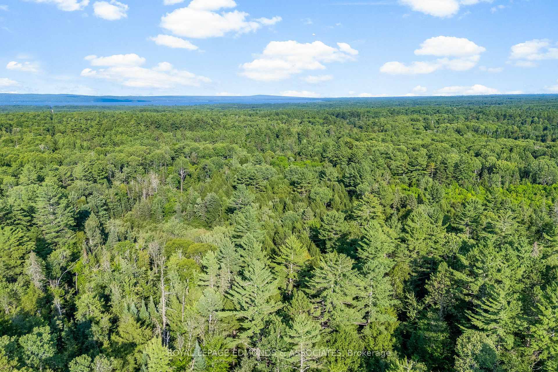 Photo 4 of Deer Trail Road, Madawaska Valley, Madawaska Valley — HOMEH
