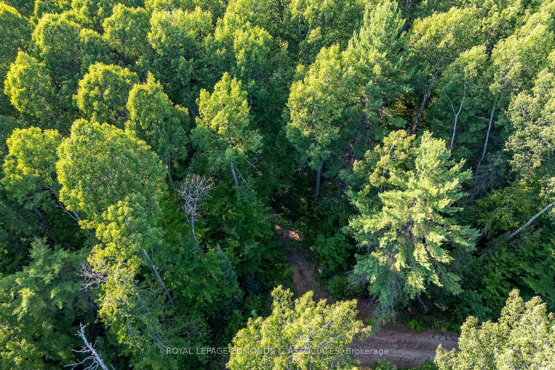 Photo 8 of Deer Trail Road, Madawaska Valley, Madawaska Valley — HOMEH