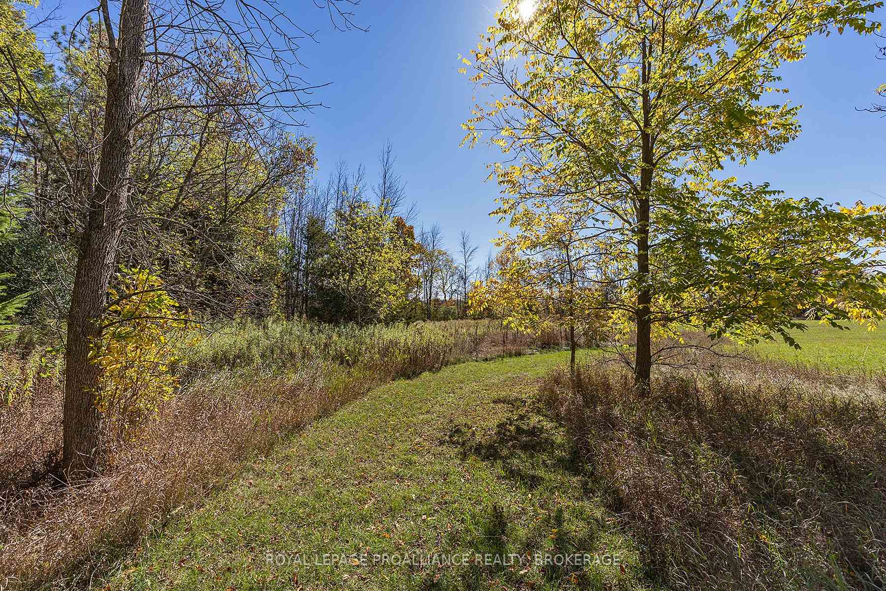 Photo 25 of 1136 Millhaven Road, Loyalist, Lennox and Addington - South — HOMEH