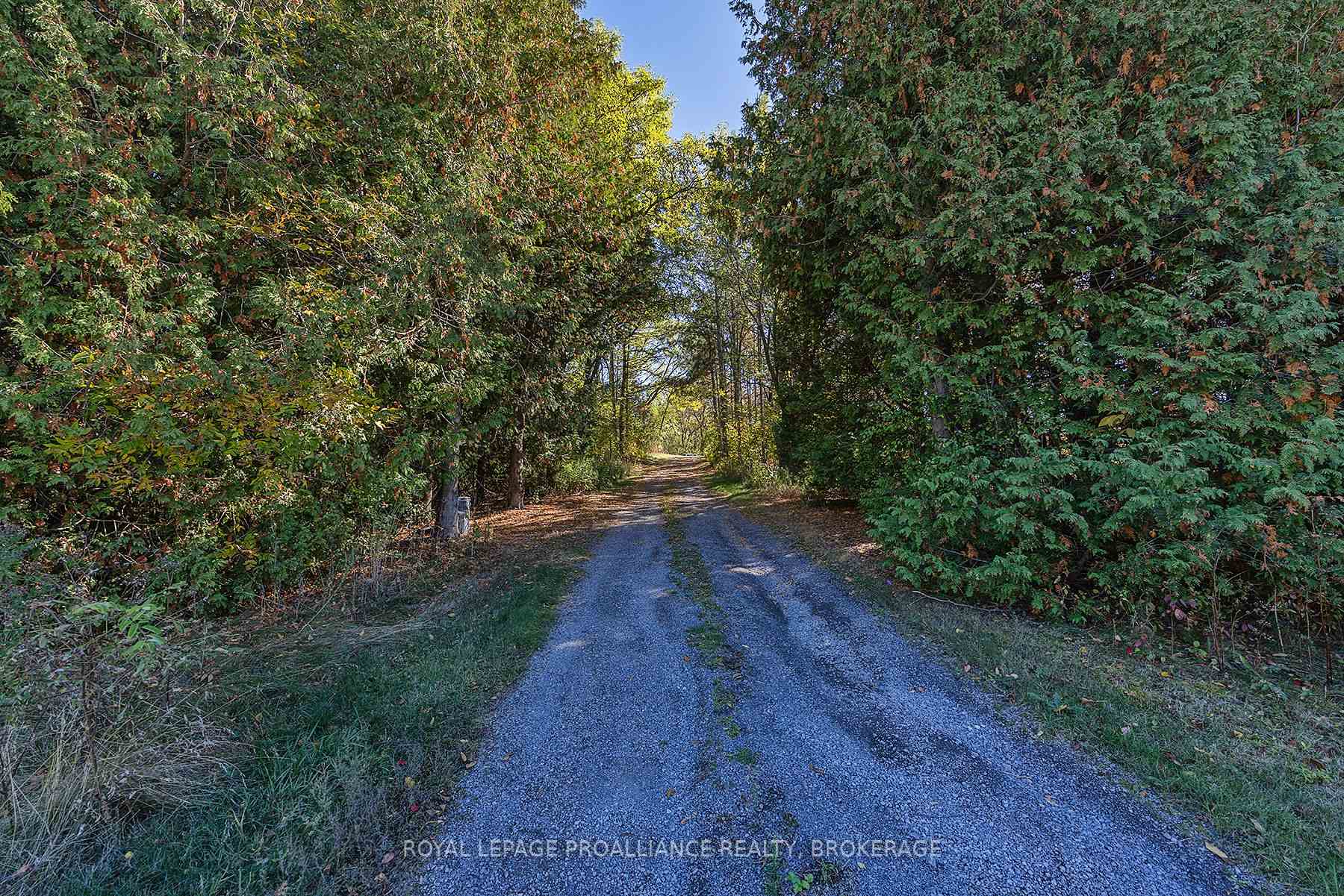 Photo 33 of 1136 Millhaven Road, Loyalist, Lennox and Addington - South — HOMEH