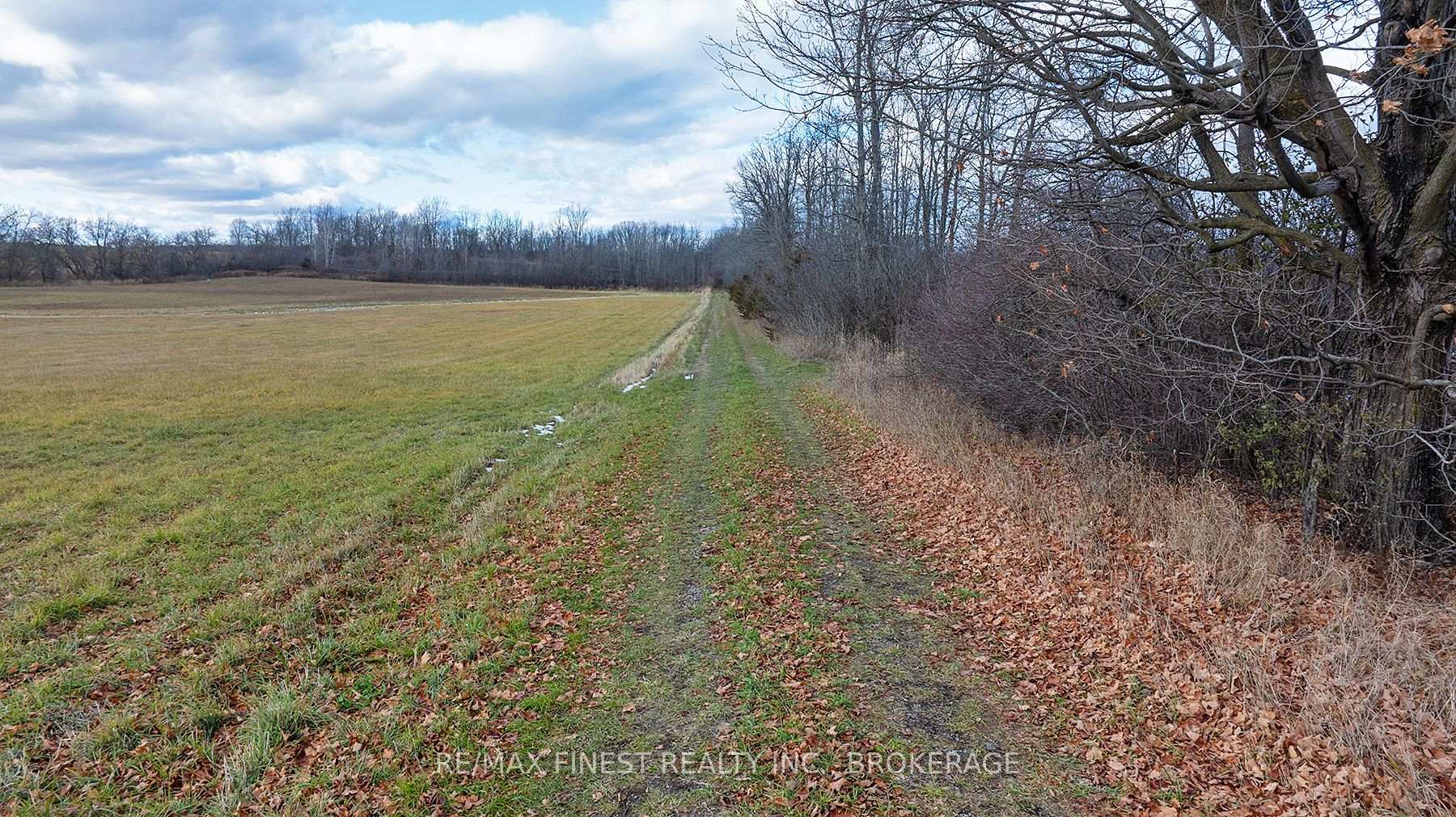Photo 5 of Maple Road, Loyalist, Lennox and Addington - South — HOMEH