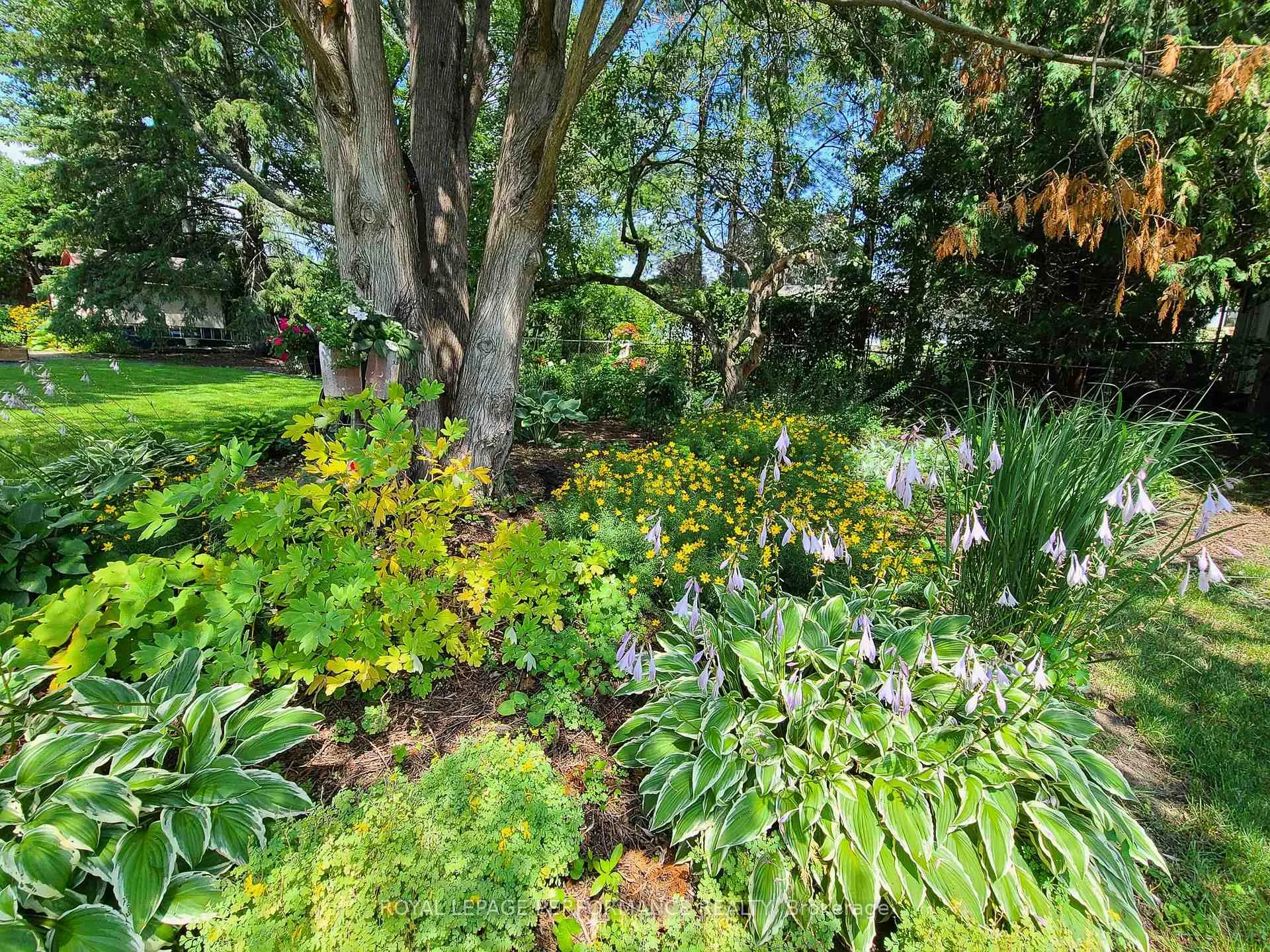 Photo 41 of 3864 Carp Road, Ottawa, Carp — HOMEH