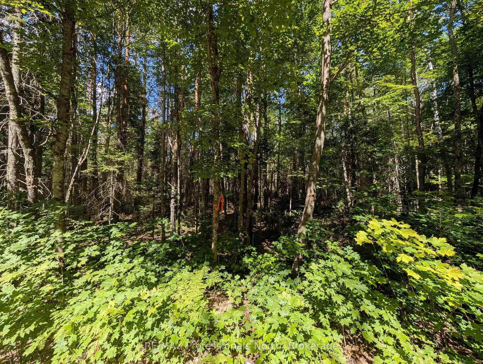 Photo 6 of 2206 Yearley Road, McMurrich/Monteith, McMurrich — HOMEH