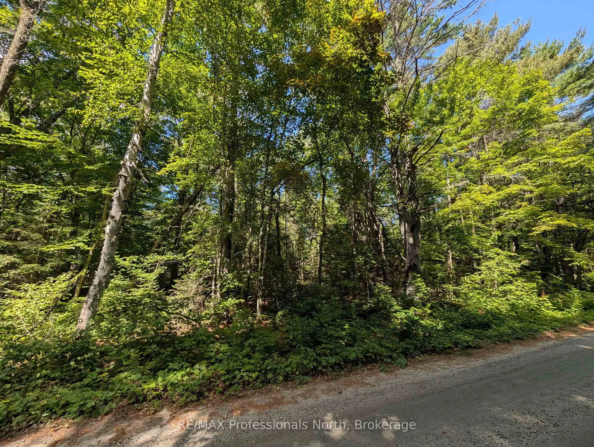 Photo 10 of 2206 Yearley Road, McMurrich/Monteith, McMurrich — HOMEH