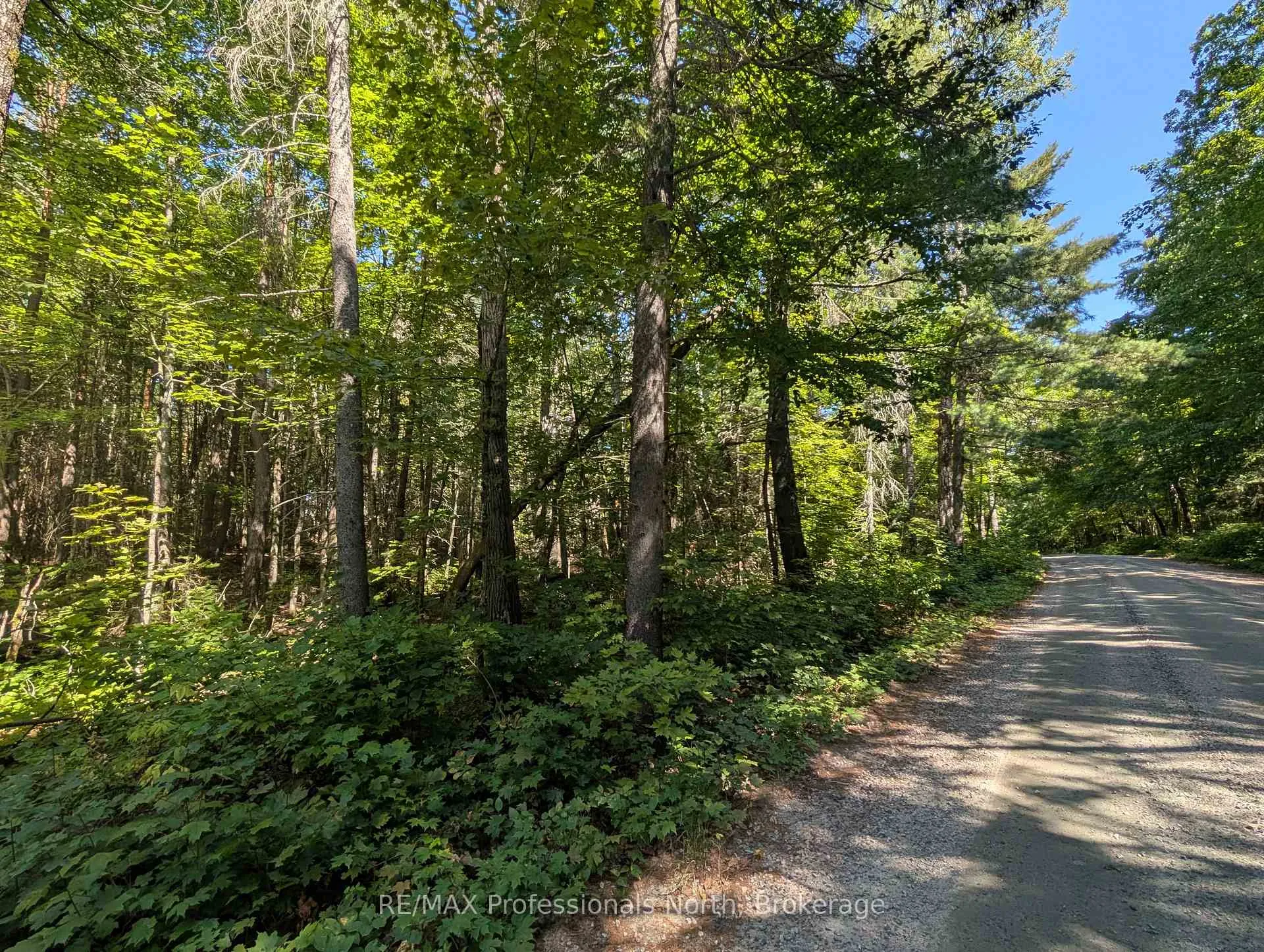 Photo 3 of 2244 Yearley Road, McMurrich/Monteith, McMurrich — HOMEH