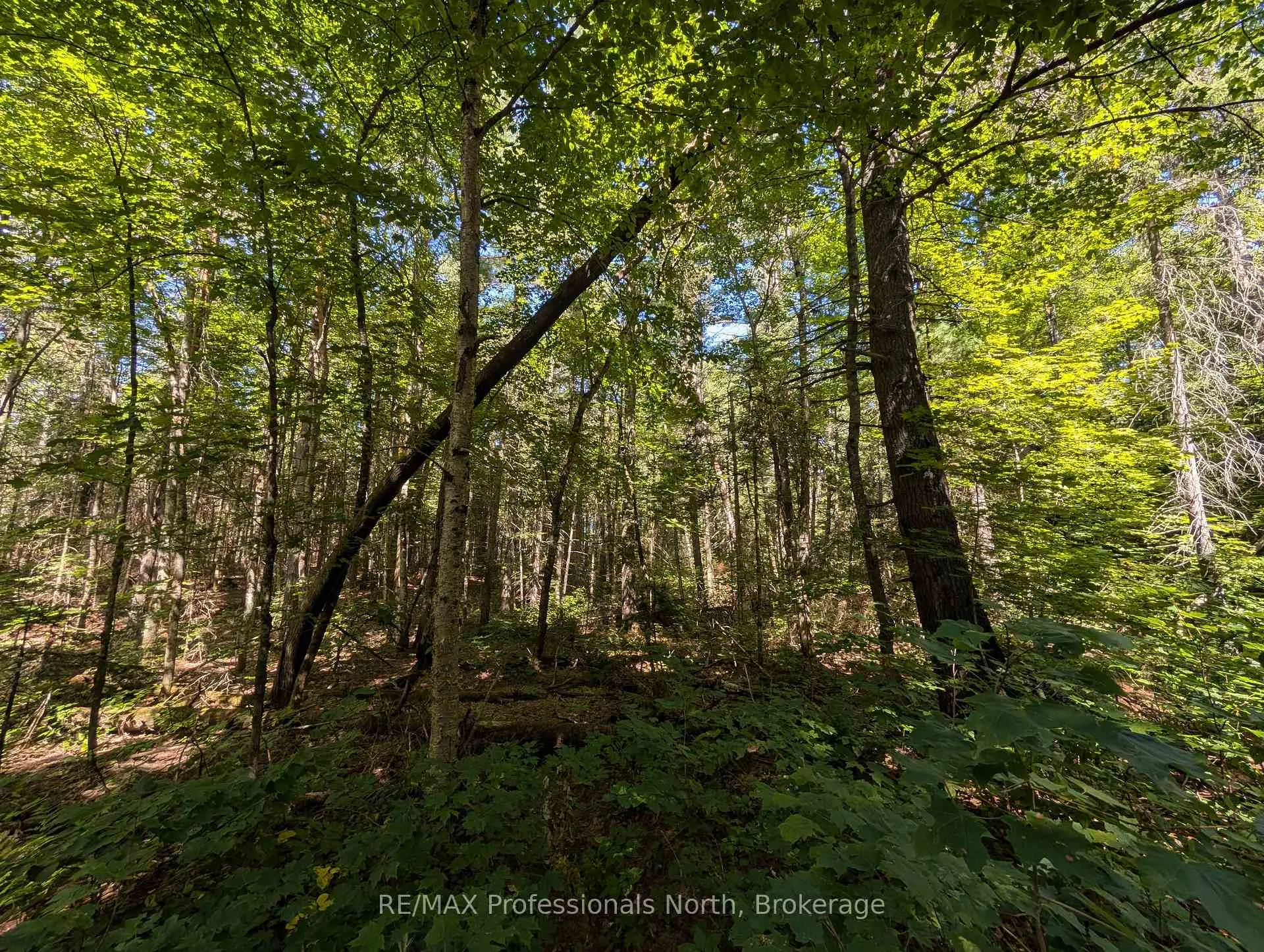 Photo 4 of 2244 Yearley Road, McMurrich/Monteith, McMurrich — HOMEH