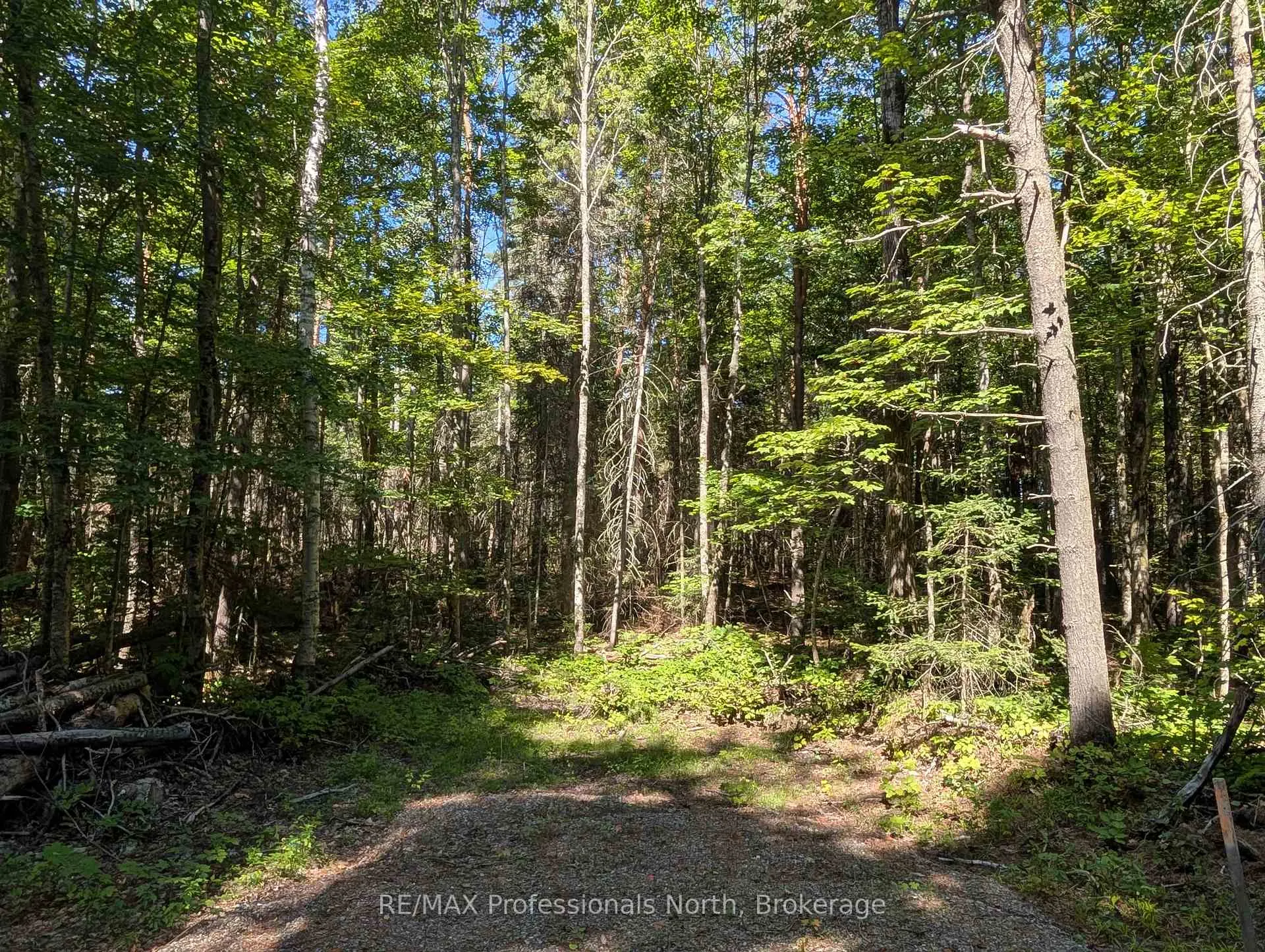 Photo 2 of 2246 Yearley Road, McMurrich/Monteith, McMurrich — HOMEH