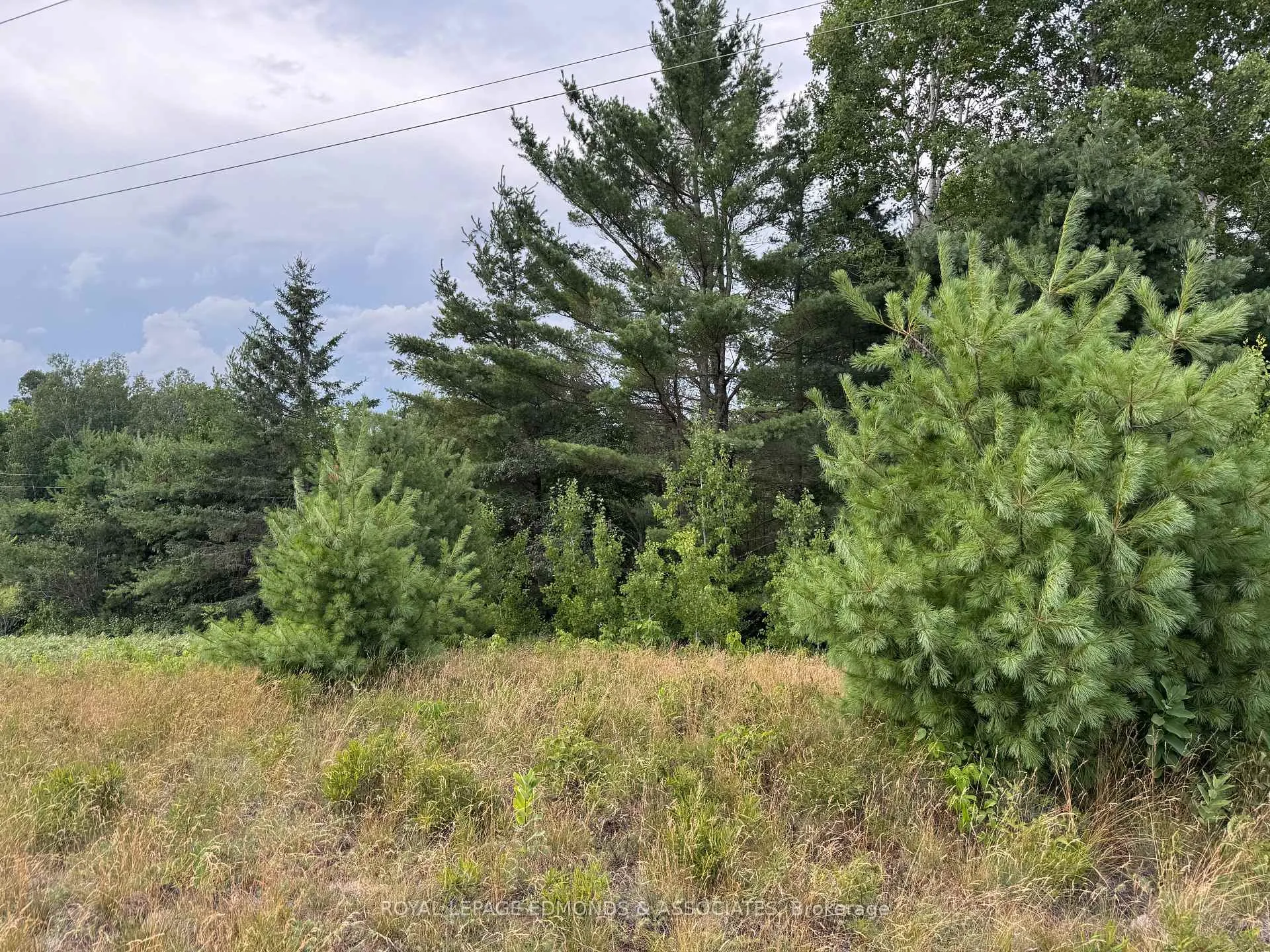 Photo 9 of Black Bay Road, Petawawa — HOMEH