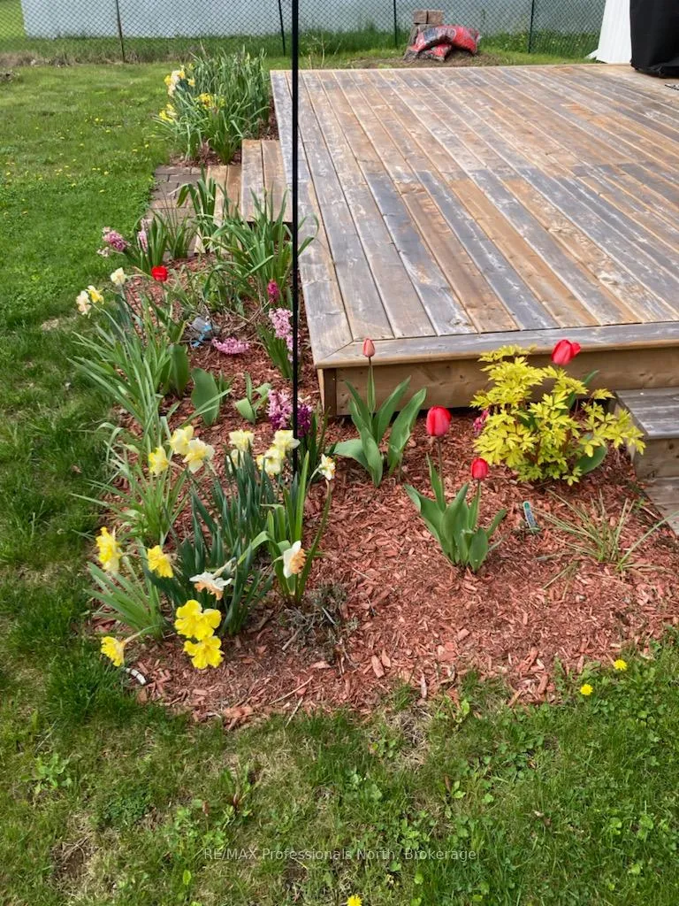 Photo 43 of 114 Paudash Lake Road, Faraday — HOMEH
