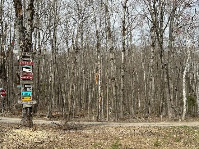 Front of Lot Silverwood Road