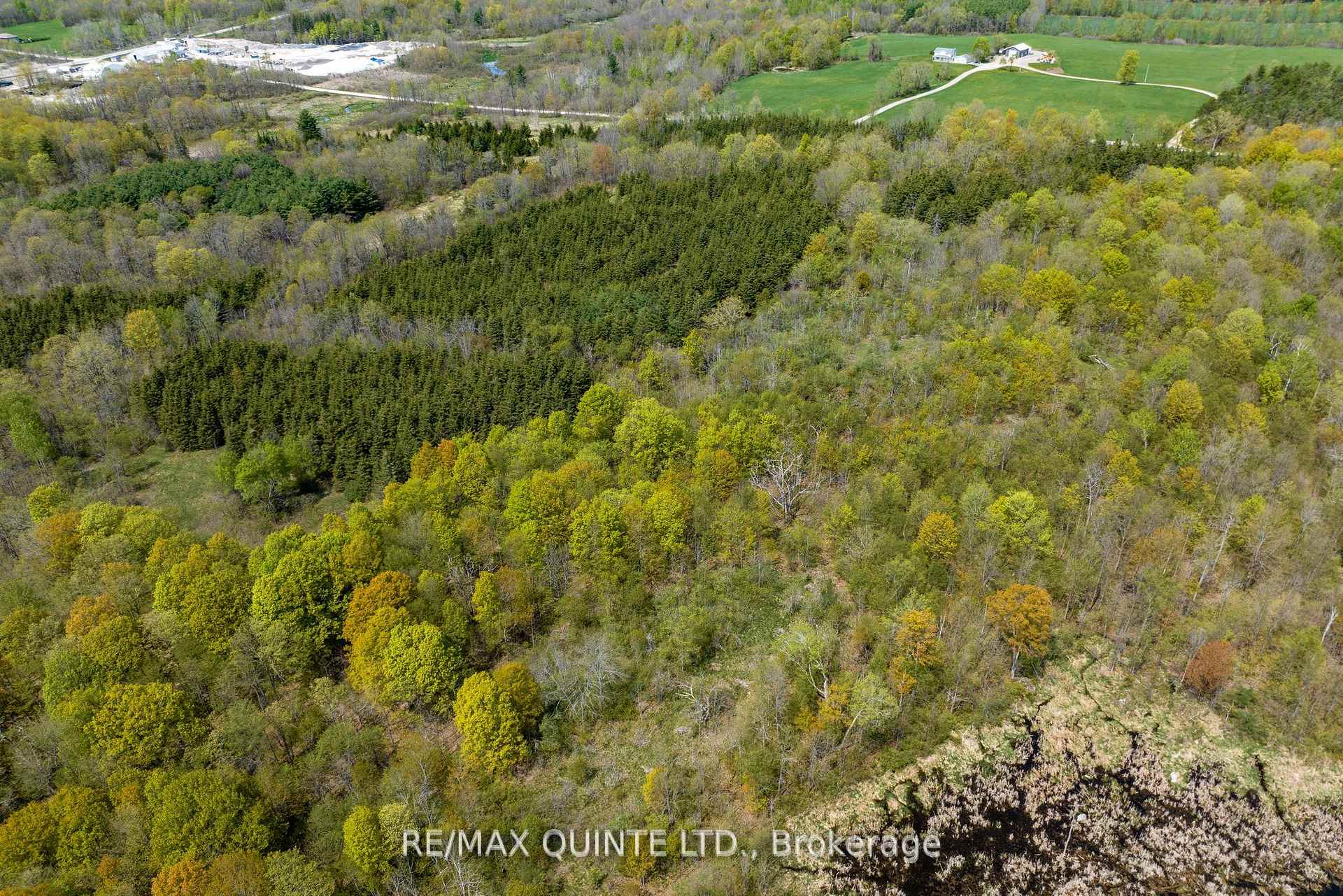 Photo 7 of 190 Riggs Road, Madoc — HOMEH