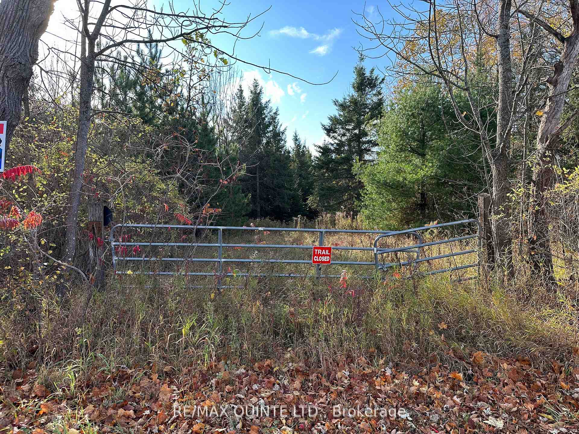 Photo 8 of 190 Riggs Road, Madoc — HOMEH