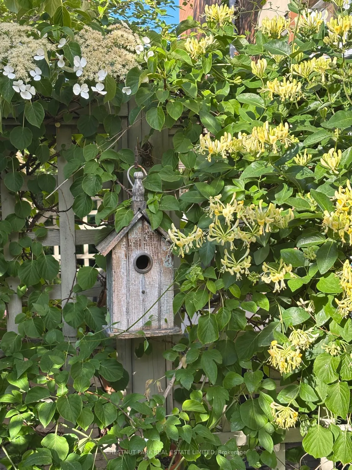 Photo 27 of 14 Charlesworth Lane, Toronto, Rosedale-Moore Park — HOMEH