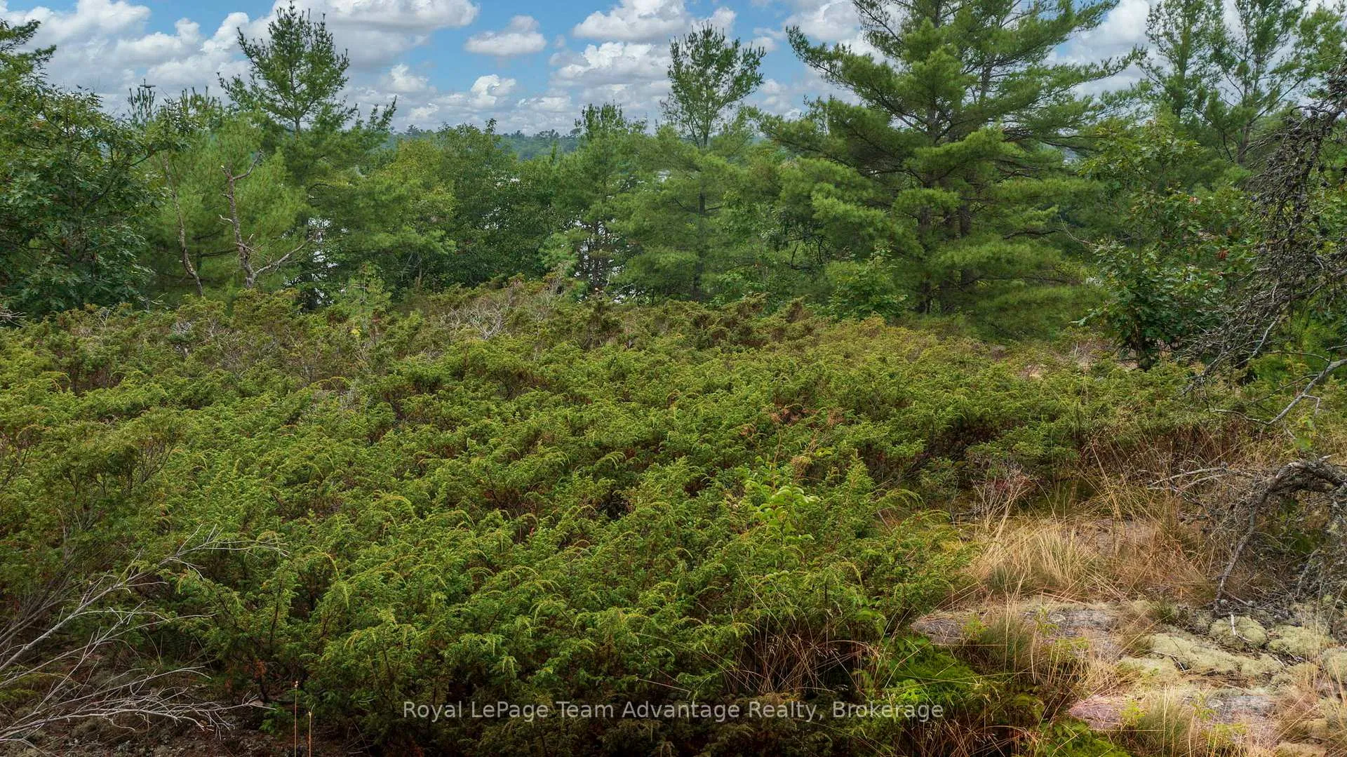 Photo 21 of Channel Drive, The Archipelago, Archipelago North — HOMEH