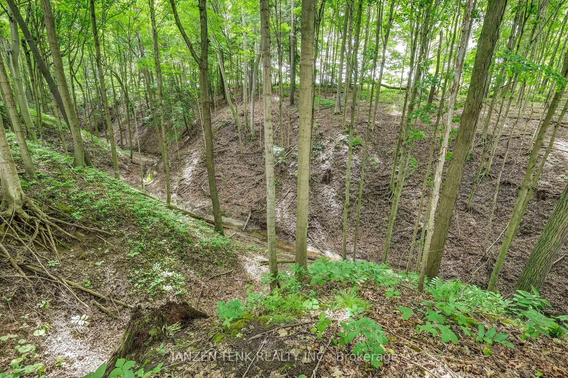 Photo 44 of 56741 Eden Line, Bayham, Eden — HOMEH