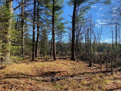 Photo of 17556 Highway 62