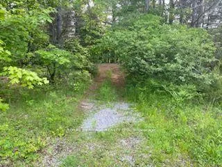 Photo 8 of 17556 Highway 62, Madoc — HOMEH