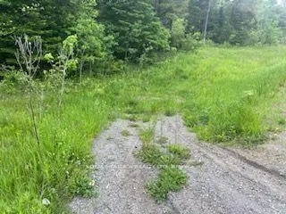 Photo 10 of 17556 Highway 62, Madoc — HOMEH