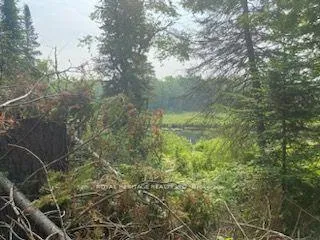 Photo 15 of 17556 Highway 62, Madoc — HOMEH