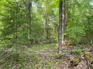 Photo 17 of 17556 Highway 62, Madoc — HOMEH