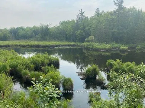 Photo 19 of 17556 Highway 62, Madoc — HOMEH