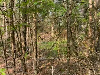 Photo 21 of 17556 Highway 62, Madoc — HOMEH