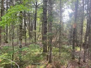 Photo 22 of 17556 Highway 62, Madoc — HOMEH