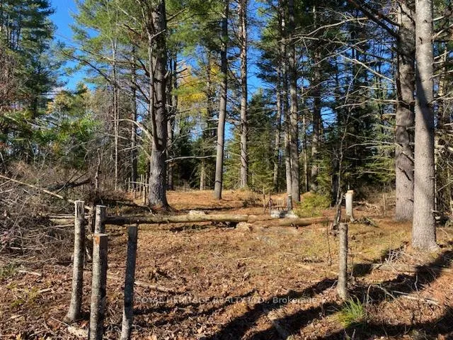 Photo 27 of 17556 Highway 62, Madoc — HOMEH